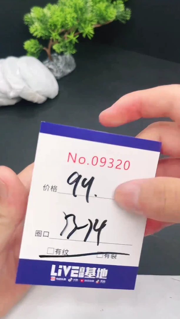 未镶嵌手镯翡翠09320