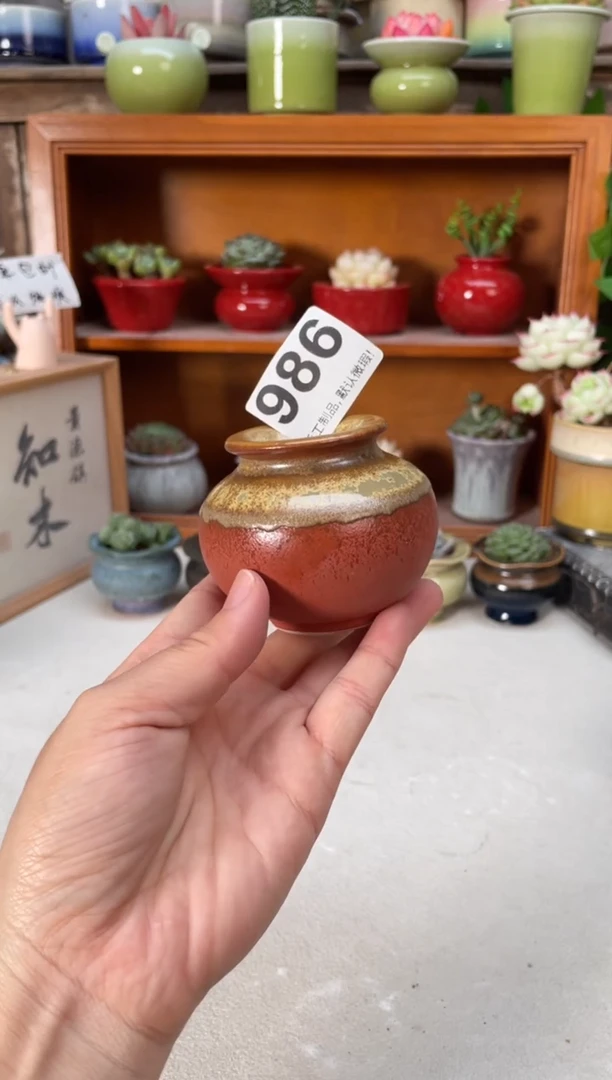 瓷片986小芳直播编号