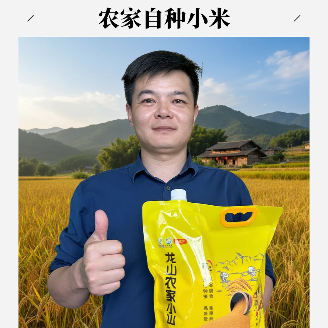 【龙山小米】当季新农家黄小米优质新米5斤装五谷杂粮