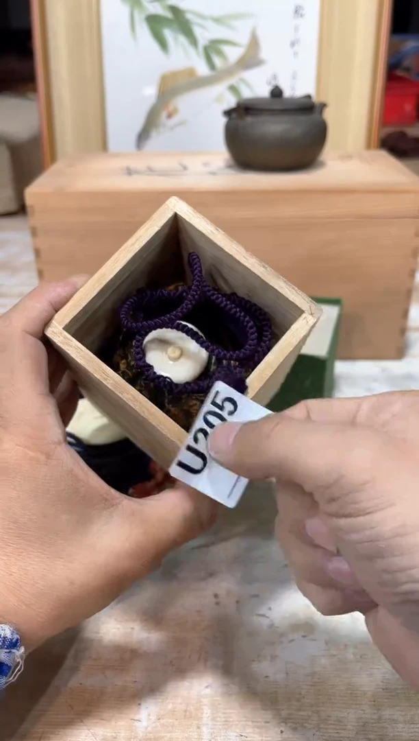 噶*直播定闪专用链接123