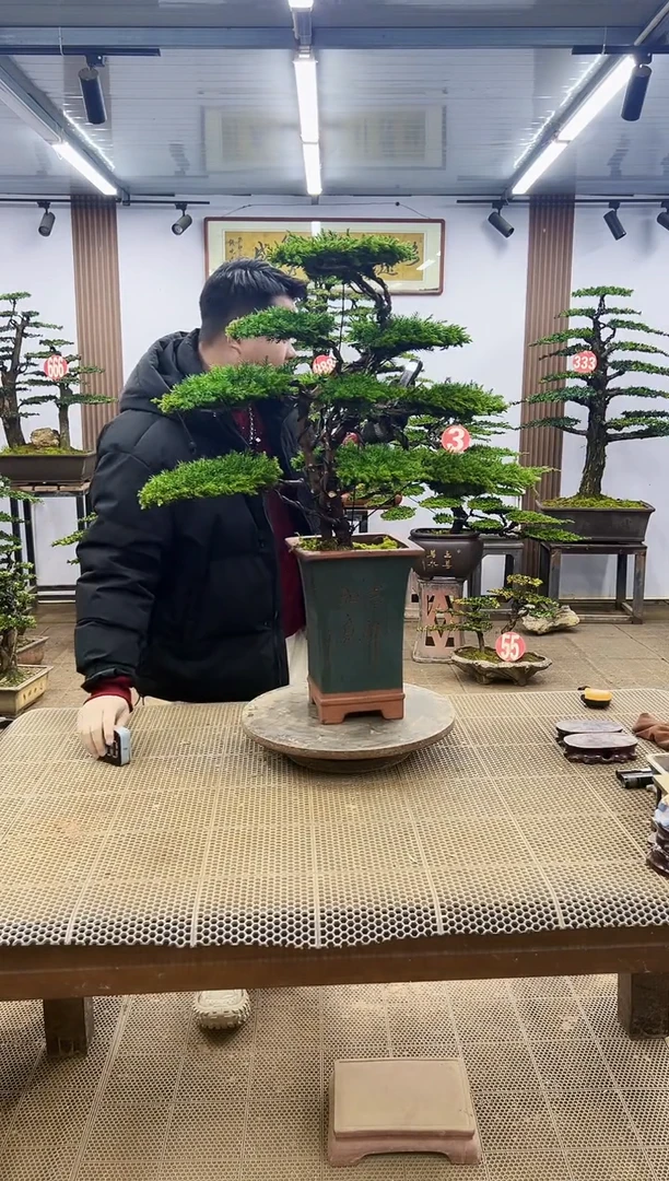 【闪购商品】000000000