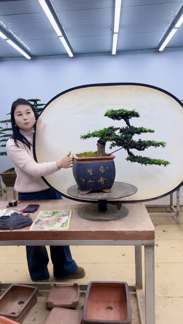 无花朵一物一拍，所见即所得