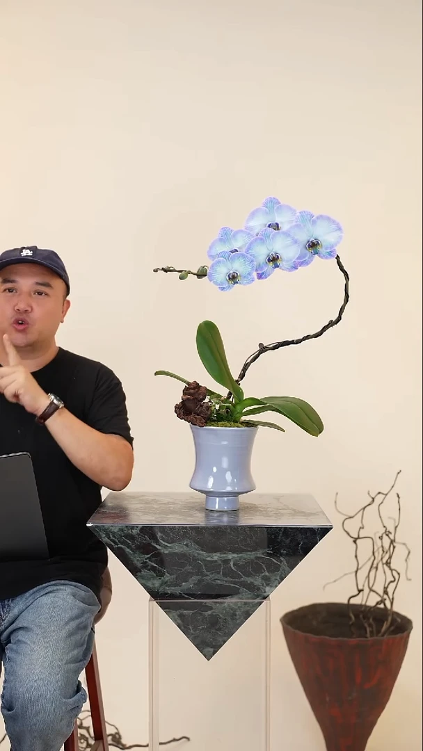 全部花朵062号链接【一物一拍】艺术盆景