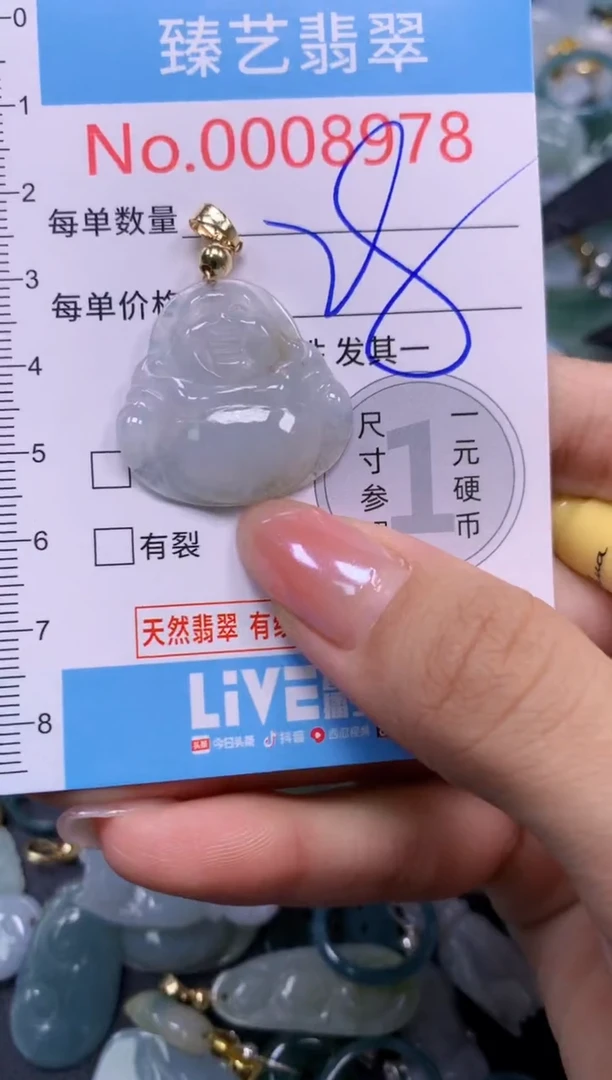 颈饰未镶嵌翡翠8978