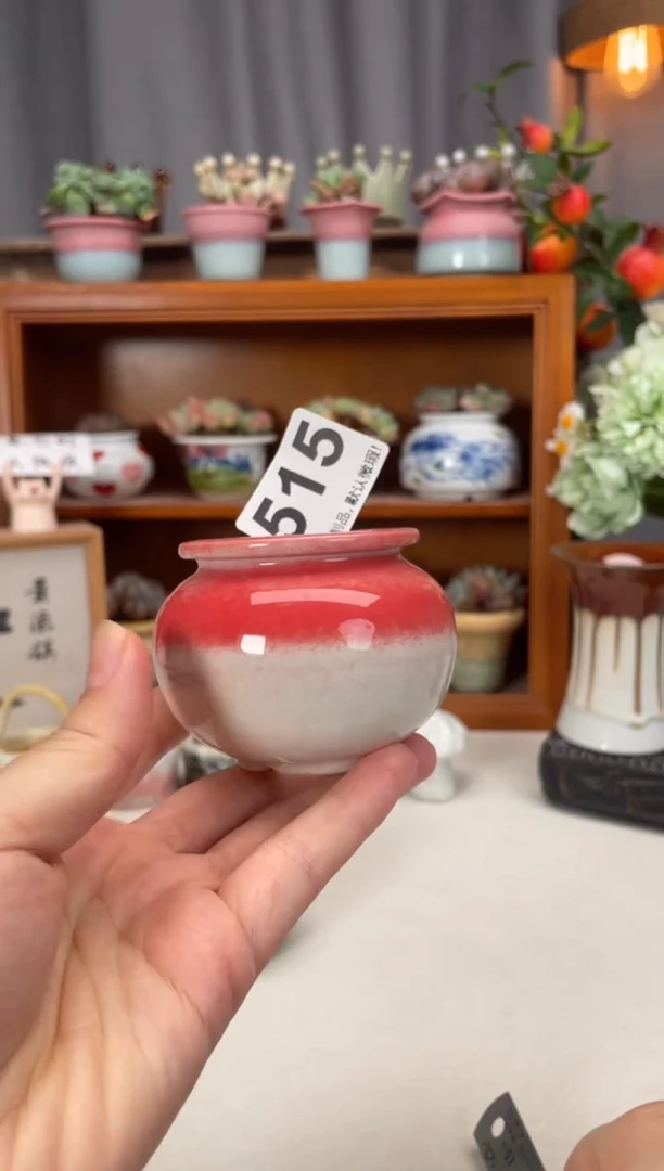 瓷片515微瑕知木小芳花盆