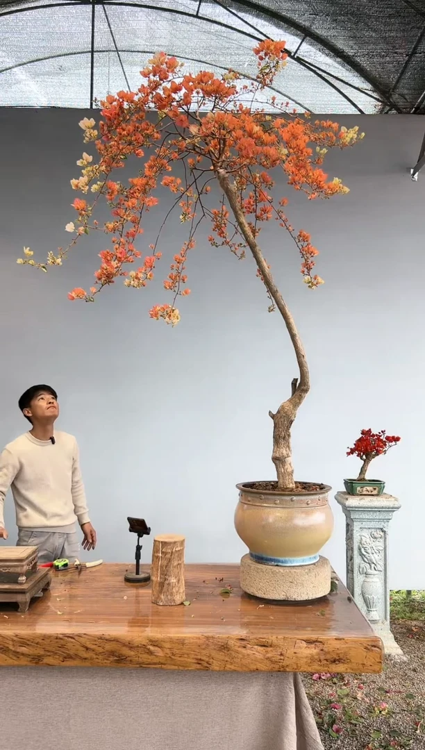 【闪购商品】aa948