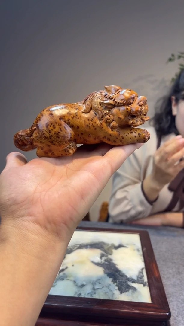 柏木（崖柏）黔*游崖柏崖柏