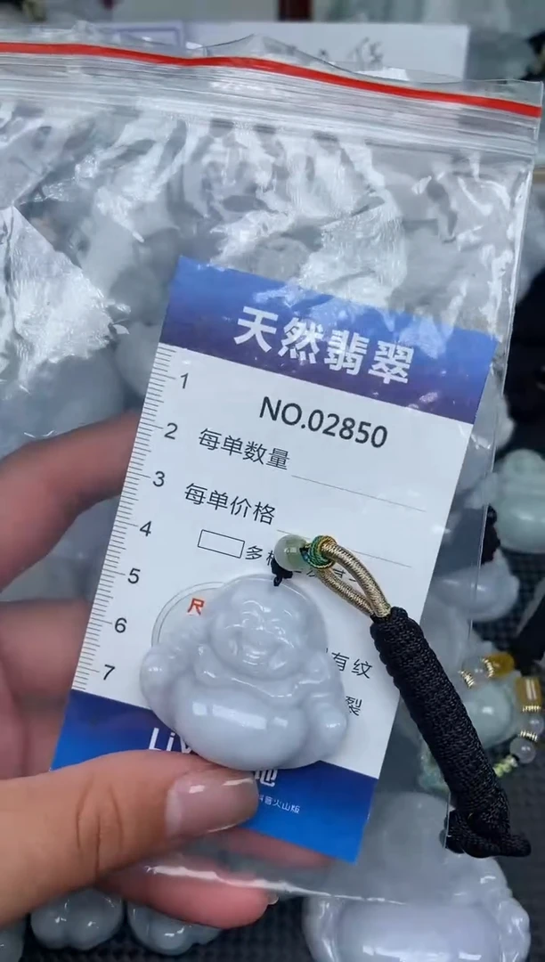 颈饰未镶嵌翡翠纯天然A货翡翠2850