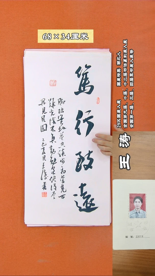 书法70D王涛书法作品