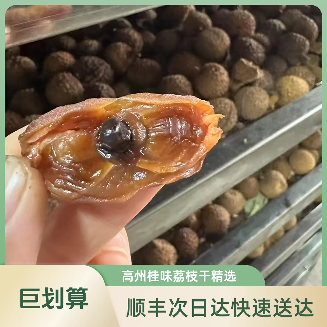 [顺丰次日达]2025年新货高州桂味荔枝干500g软糯香甜肉厚核小干货零食