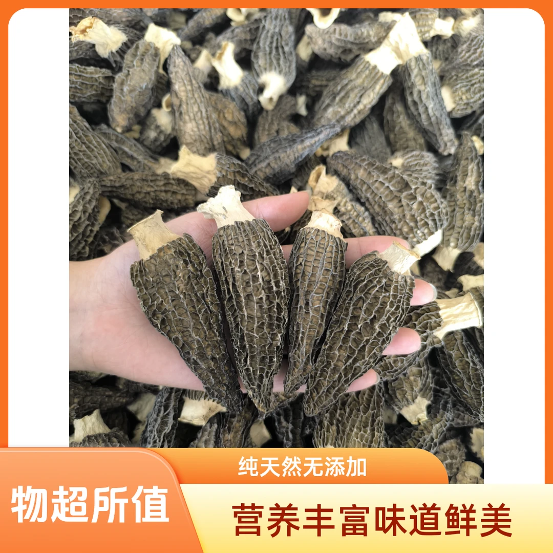 【清仓】高山林地头茬仿野羊肚菌干货菌香味浓