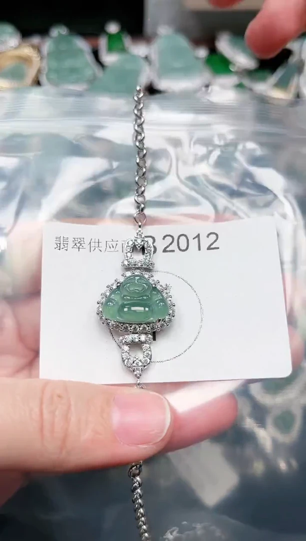 【闪购商品】翡翠颈饰未镶嵌赠皮绳2012