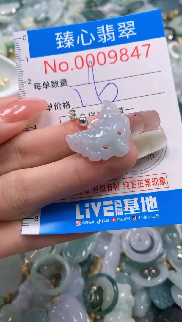 翡翠未镶嵌颈饰9847