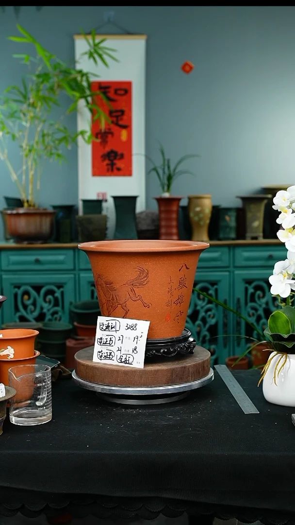 紫砂花盆藏*猫3288+s紫砂花盆