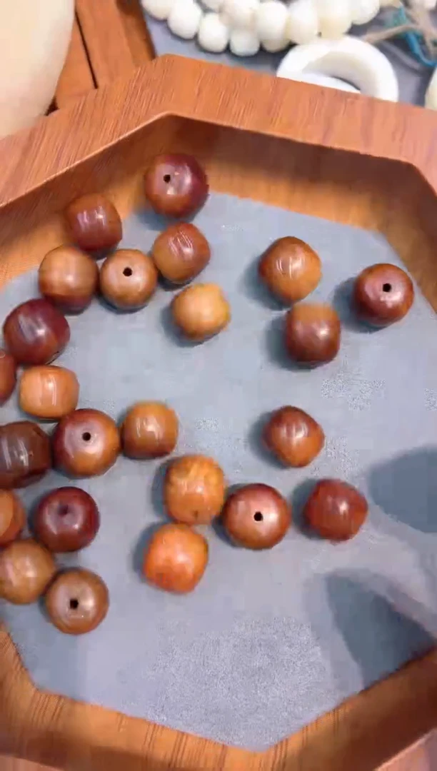 猛犸猛犸++++++44