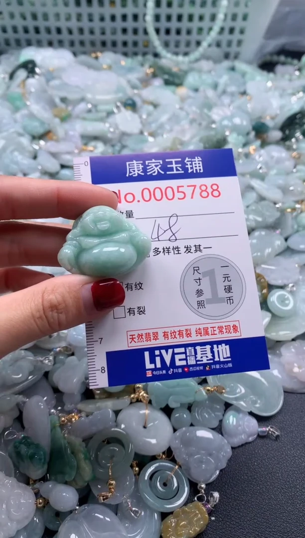 颈饰未镶嵌翡翠5788