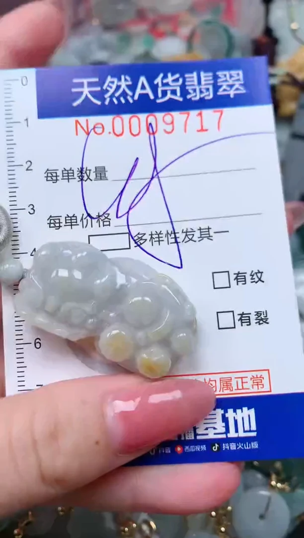 【闪购商品】翡翠颈饰未镶嵌00009717