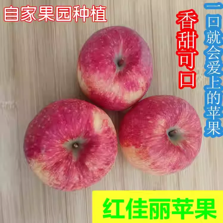 山西红佳丽香妃苹果新鲜脆甜多汁超甜加力果香味浓郁5斤包邮