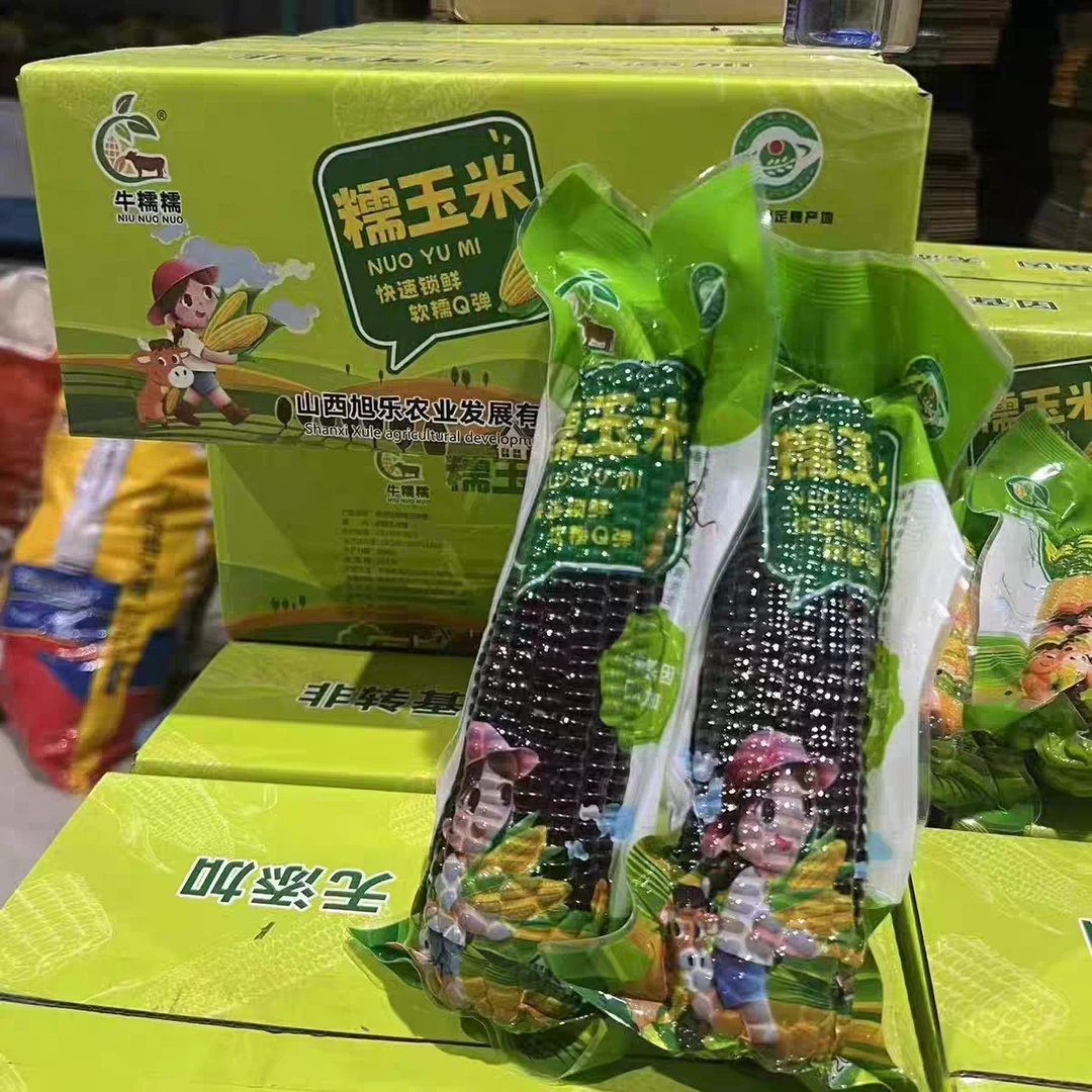 【26年8.10到期】黑糯玉米