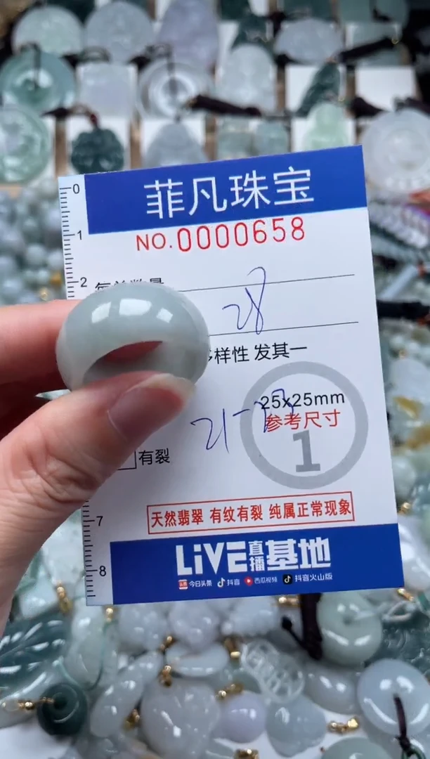 翡翠未镶嵌颈饰00..0658