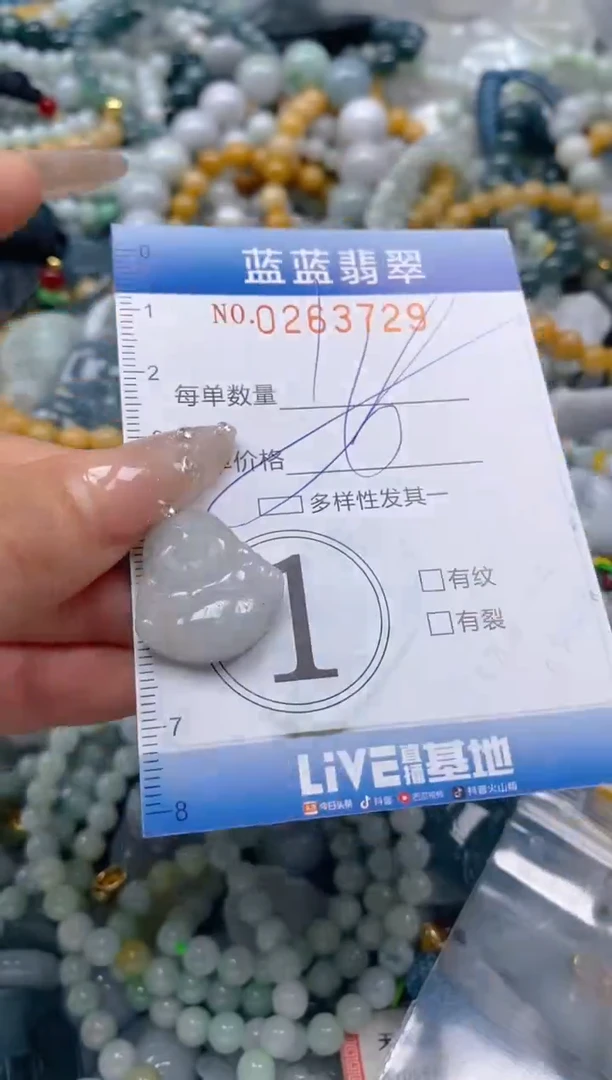 翡翠未镶嵌颈饰闪购0263729多样性发其一