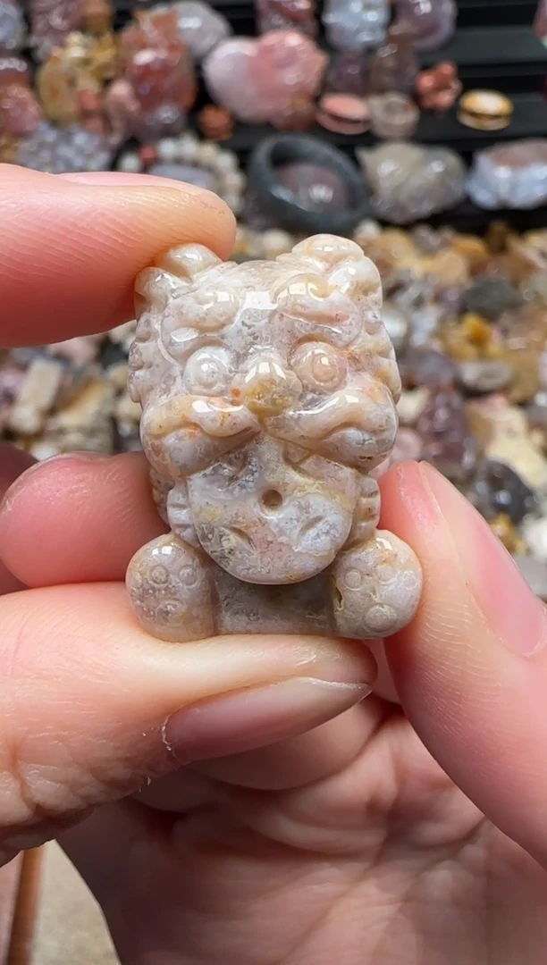 颈饰未镶嵌硅化珊瑚（珊瑚玉）751