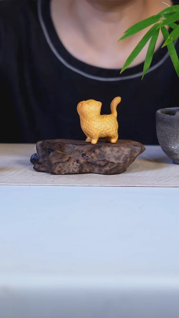 木黄金檀站立猫中号