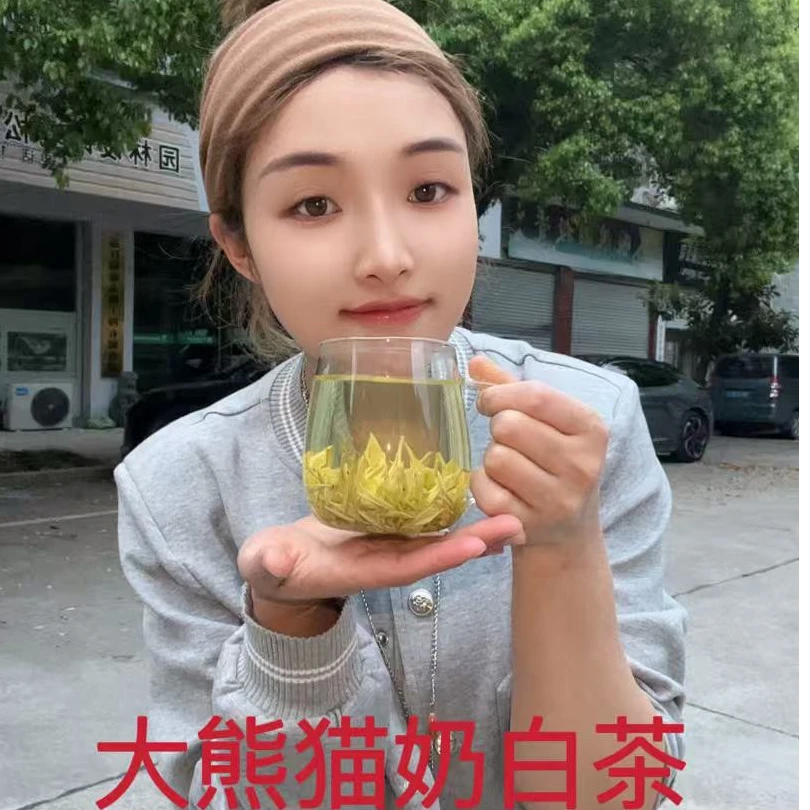 25年新茶明前【熊猫奶白茶】绿茶高山纯正奶香味茶叶