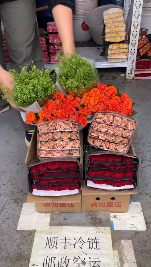 高原红20枝+卡布20枝+橙色芭比10枝+绿林草