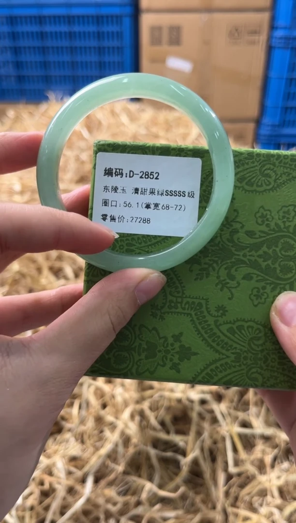 未镶嵌手镯石英质玉D-2852