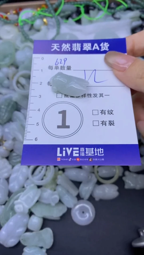 颈饰未镶嵌翡翠天然翡翠A货批量多样性发一件