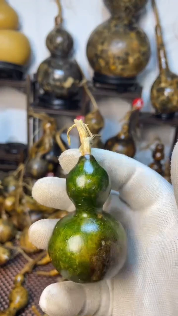 【闪购商品】葫芦葫芦葫芦葫芦