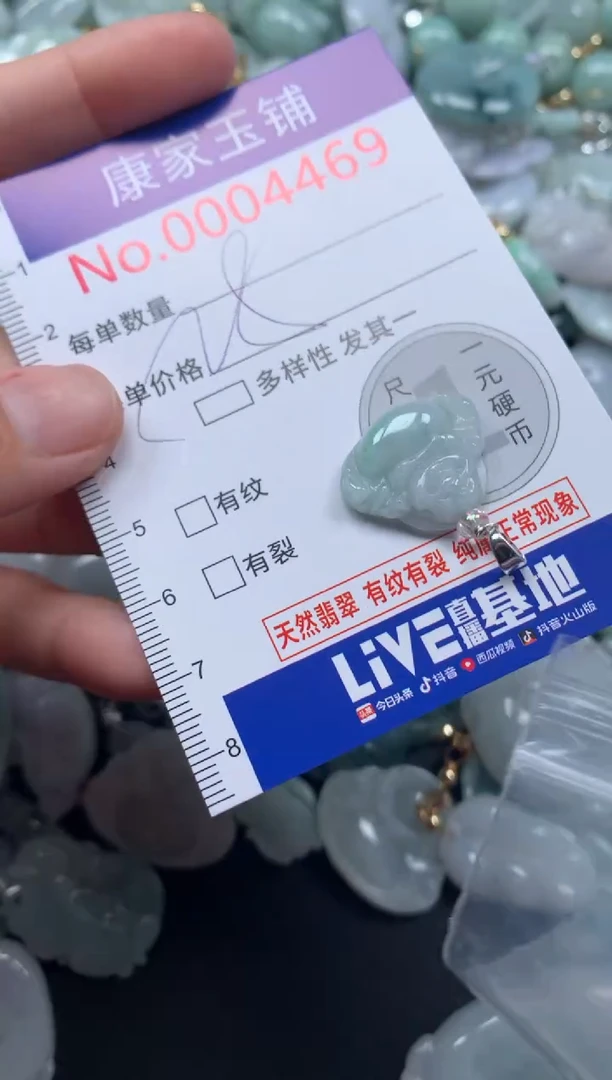 颈饰未镶嵌翡翠4469