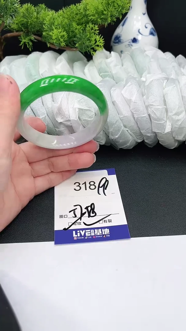 未镶嵌手镯翡翠318