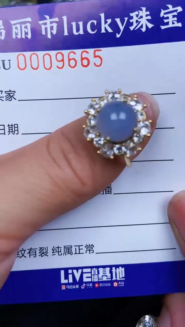 翡翠银S925镶嵌颈饰9665