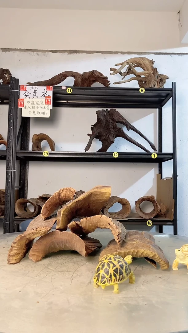 阿*鱼缸爬宠造景素材865