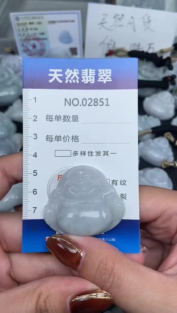 颈饰未镶嵌翡翠天然A货翡翠纯2851