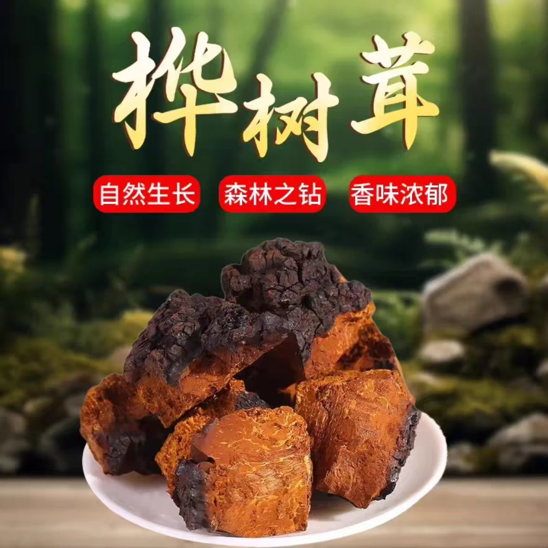 东北大山里桦树茸切块一斤包邮