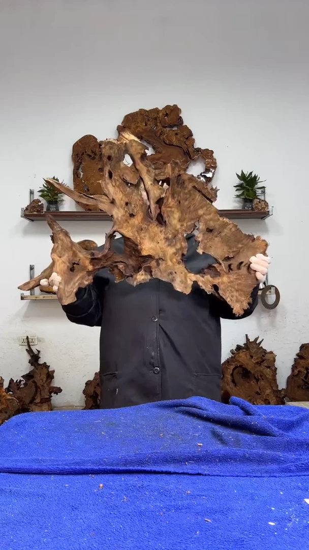 香杉树根瘤板材原料