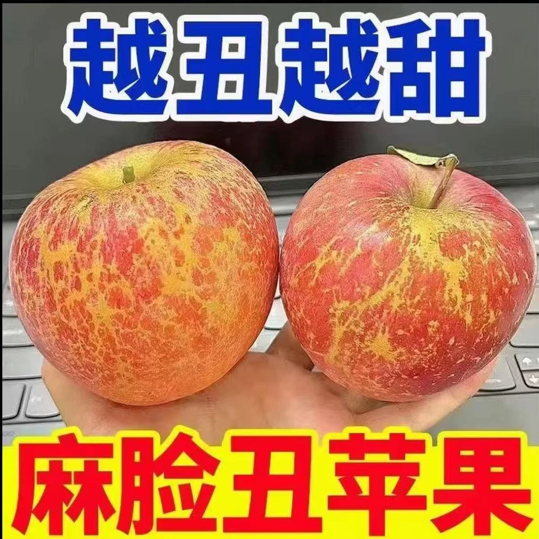正宗大凉山丑苹果现摘现发脆甜多汁肉厚营养丰富