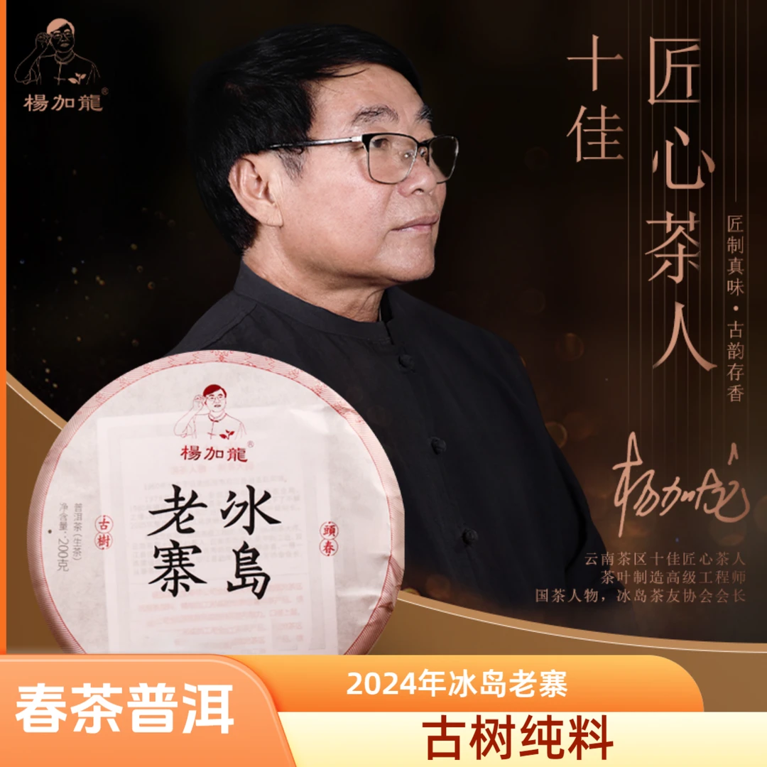 云南冰岛普洱茶生茶叶冰岛老寨古树纯料春茶普洱茶饼茶200g