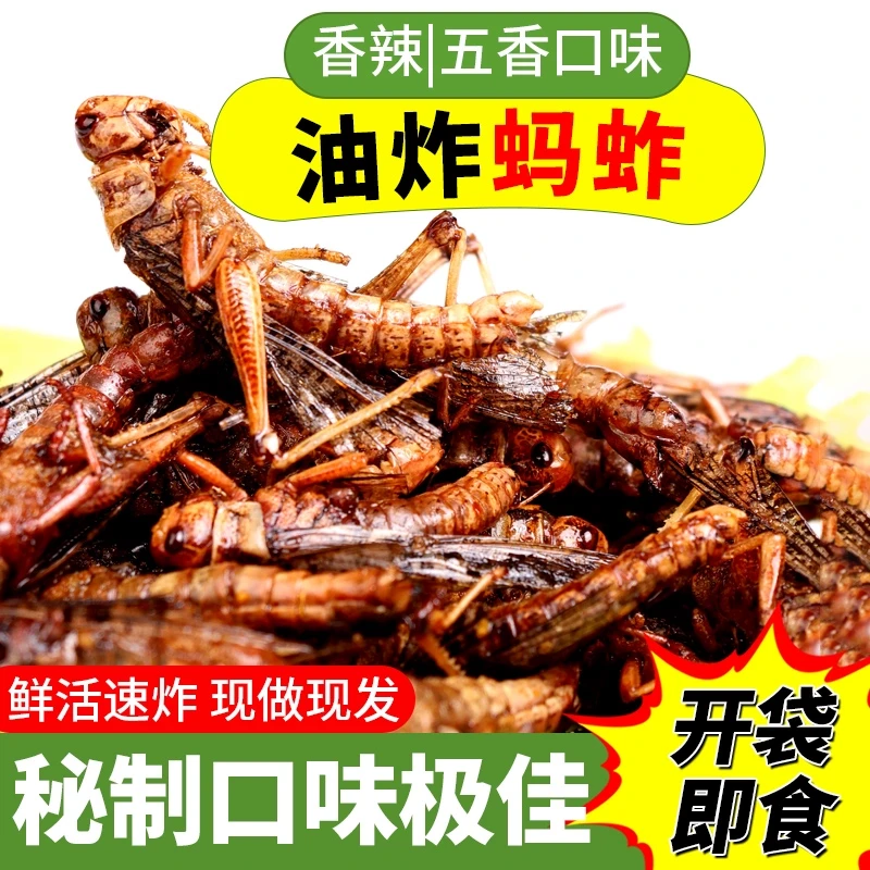 送礼新鲜蚂蚱油炸香酥辣孜然虫子即食零食小吃酥脆蝗虫下酒菜熟食
