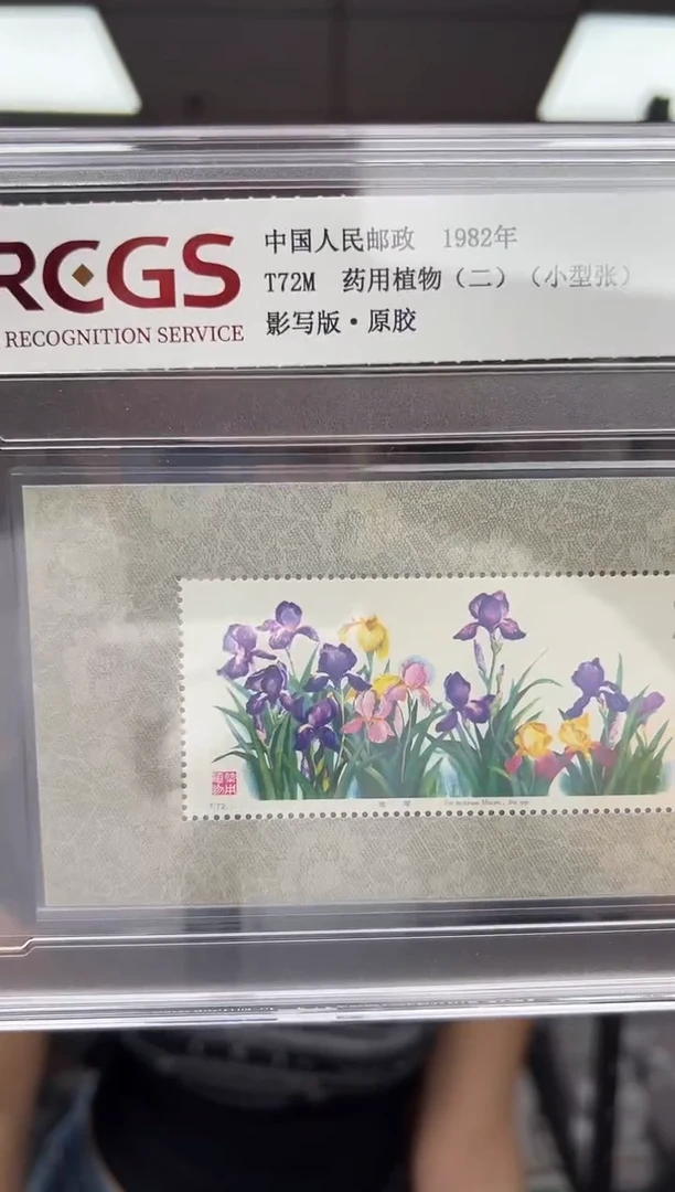 T72M 药用植物【白草药】小型张 RCGS评级 精大盒 原胶