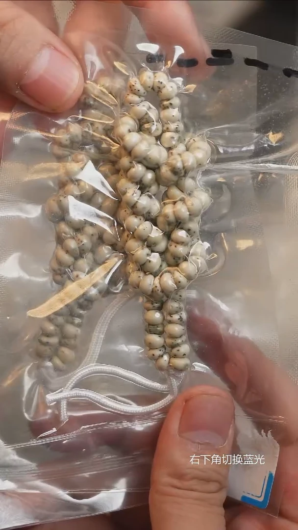 手串星月菩提#888463034