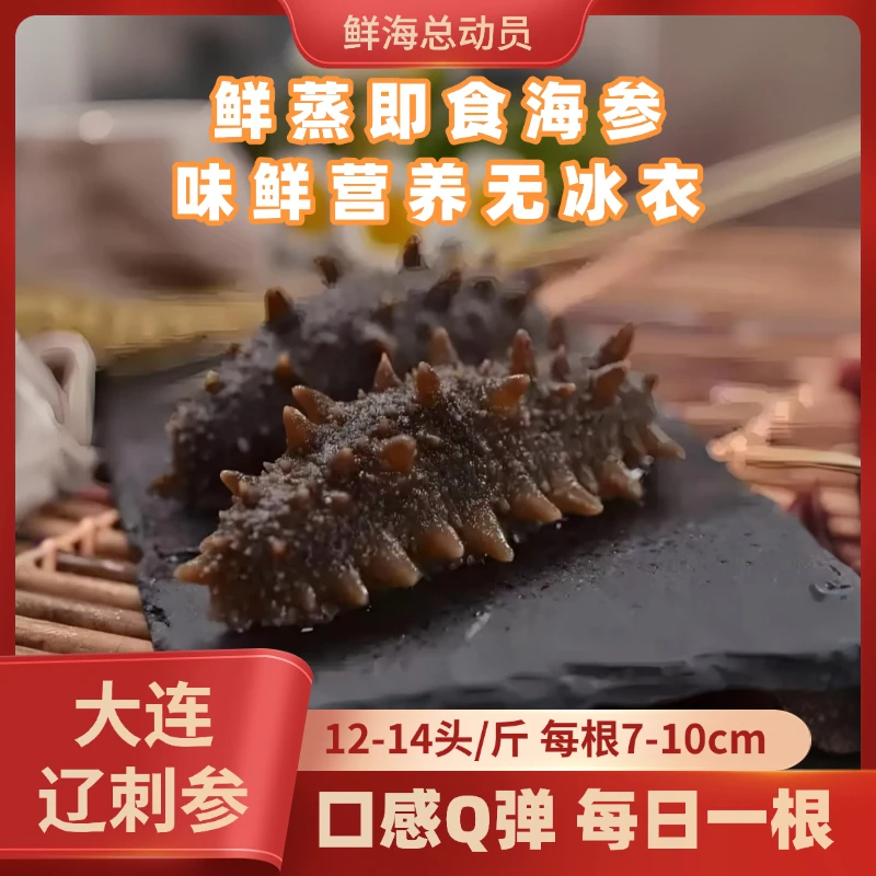 【正宗大连辽刺参12-14头一斤】鲜蒸即食海参辽参蒸食Q弹营养包邮