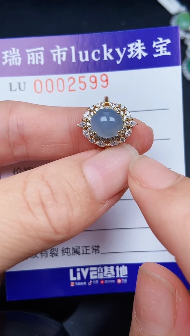 翡翠银S925镶嵌颈饰2599