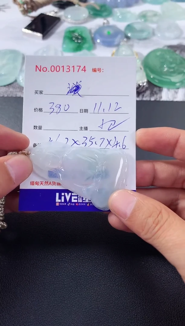 颈饰未镶嵌翡翠素衣