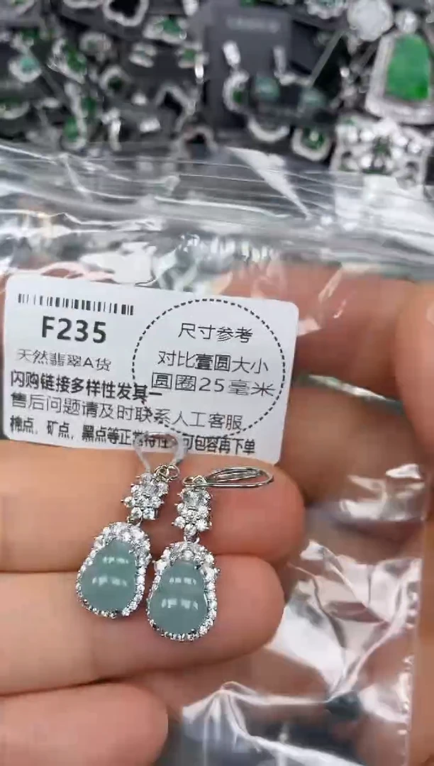 颈饰未镶嵌翡翠F235耳钩