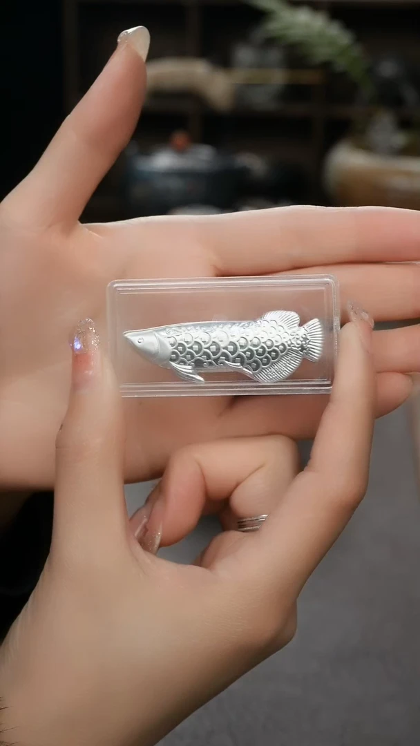 【闪购商品】银龙鱼煮水银片茶周边