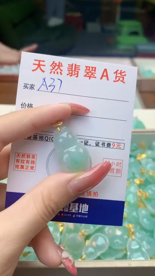 颈饰未镶嵌翡翠天然A货翡翠挂件